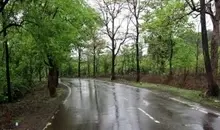 ­پیش بینی رگبار پراکنده در نوار شمالی طی روزهای آینده
