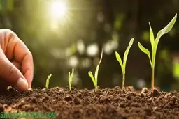 با6 تکنیک صبر و انتظار را از نو بیاموزیم