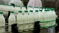 افزایش قیمت شیرخام قطعی نیست | احتمال افزایش ۷۰درصدی قیمت لبنیات