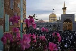 مولودی ولادت امام رضا علیه‌السلام با نوای سید مجید بنی‌فاطمه + صوت