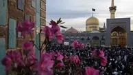 مولودی ولادت امام رضا علیه‌السلام با نوای سید مجید بنی‌فاطمه + صوت