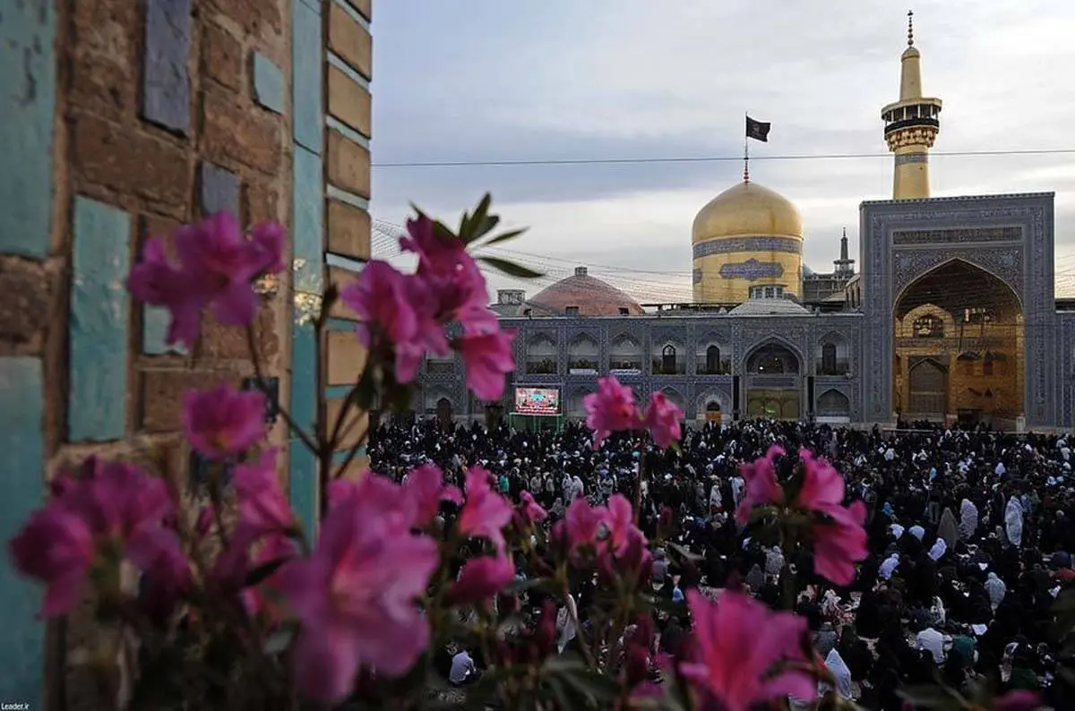 مولودی ولادت امام رضا علیه‌السلام با نوای سید مجید بنی‌فاطمه + صوت