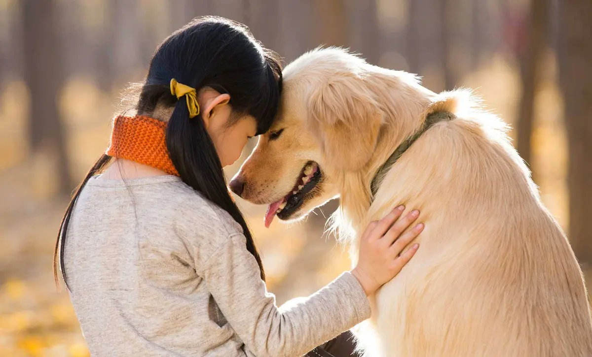 دلیل علمی وفادار بودن سگ‌ ها به صاحبانشان چیست؟ | چرا سگ‌ها بهترین دوستان انسان هستند؟
