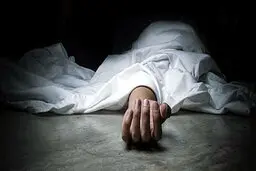 قربانیان الکل در فارس به ۱۰۲ نفر رسید
