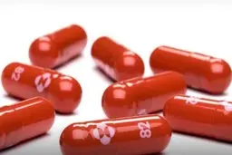 با خوردن دارو ضد کرونا احتمال جهش شدید ویروس وجود دارد