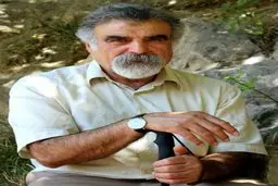 علی رضاقلی؛ چرخۀ غارت - غنیمت در ایران