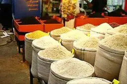 گران‌ترین برنج بازار چه قیمتی پیدا کرد؟
