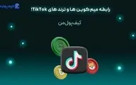 رابطه میم‌کوین ها و ترند های TikTok!