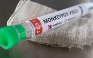 آبله میمونی بلای جان ایرانی ها ؟| نگرانی ها بالا گرفت | درخواست وزارت بهداشت برای واکسن آبله میمونی
