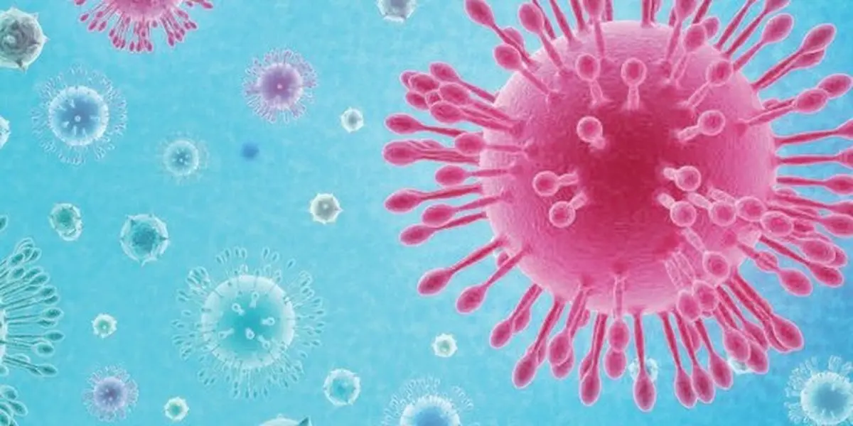 کروناویروس طی چند روز از بدن فرد مبتلا پاک می‌شود؟