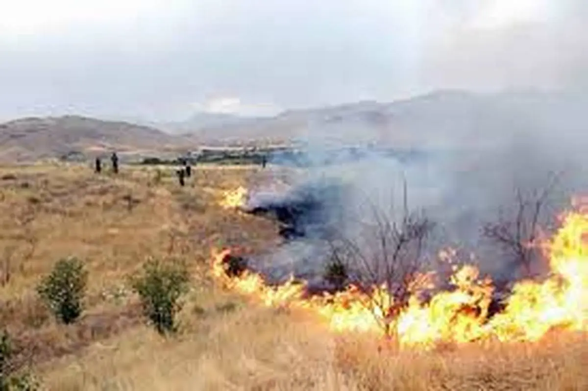 
آتش سوزی گسترده در تالاب گروس مهاباد
