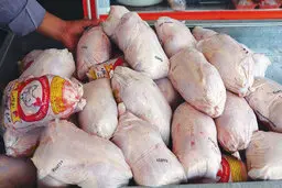 قیمت مرغ در بازار چند است؟