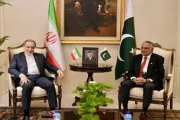 بقائی : در سفر به پاکستان هیچ دیداری بین ایران و آمریکا برنامه‌ریزی نشده است