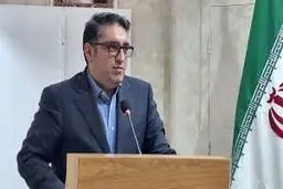 ۳۰ تا ۴۰ درصد ارز وارداتی چپاول می‌شود | اعتراف معاون سازمان توسعه تجارت +ویدئو