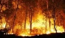 آتش‌سوزی مرگبار در جنوب اسپانیا | ۱۲ نفر در حریق گسترده منطقه لوس گالاردوس جان باختند +ویدئو 