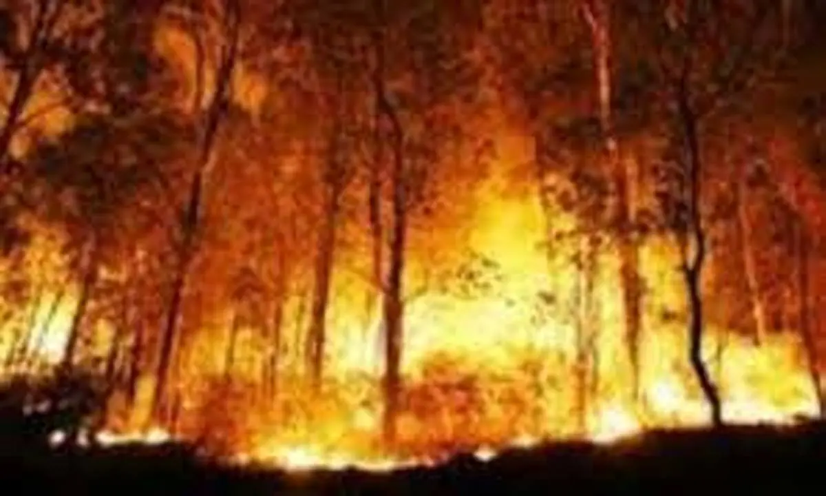 آتشسوزی در جنگلهای چالوس؛ صعبالعبور بودن منطقه عملیات اطفا را دشوار کرد | وقوع آتشسوزی در الیت و دراکین چالوس؛ دسترسی کامل هنوز ممکن نیست