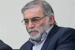      ملاقات شهید فخری‌زاده با آمانو تکذیب شد

