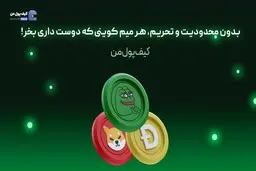 بدون محدودیت و تحریم، هر میم کوینی که دوست داری بخر!