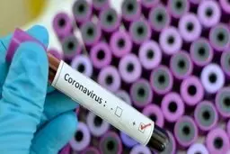 کرونایی‌ترین نقاط تهران کدام مناطق هستند؟