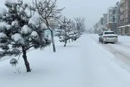 بارش برف و باران درتهران | هشدار سطح نارنجی هواشناسی برای برخی استان‌ها + ویدئو 
