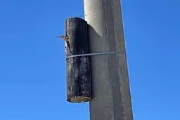 ‏یک تیر برق قدیمی رو که می خواستن تعویض کنن متوجه شدن توش لونه پرنده هست، راهکار عجیب را ببینید!+ عکس