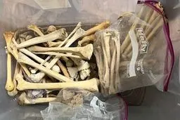 این زن اندام افراد مرده را خرید و فروش میکرد!