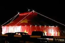 حمله  خرس بی‌اعصاب به مربی سیرک + فلیم