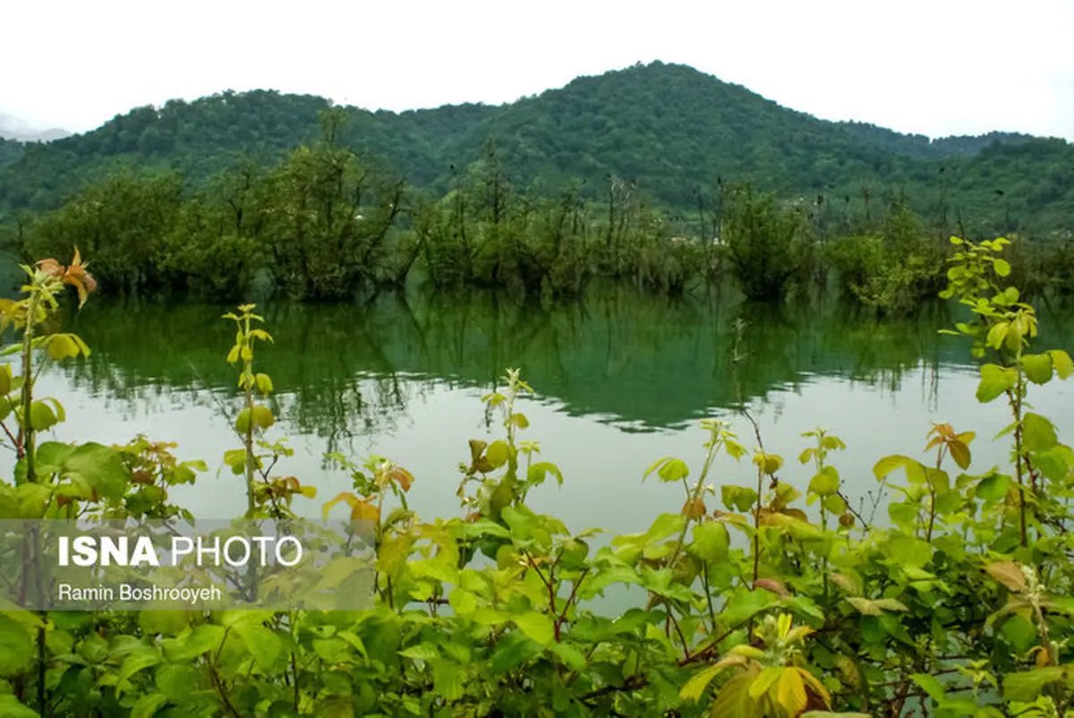  تالاب «استیل»در غرب استان گیلان + عکس