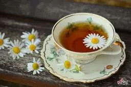 
بهترین راهکار برای مقابله با کم خونی