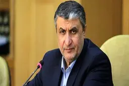 سلامی: آژانس اطلاعات هسته‌ای ایران را در اختیار دیگر کشورها میگذارد