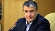 سلامی: آژانس اطلاعات هسته‌ای ایران را در اختیار دیگر کشورها میگذارد