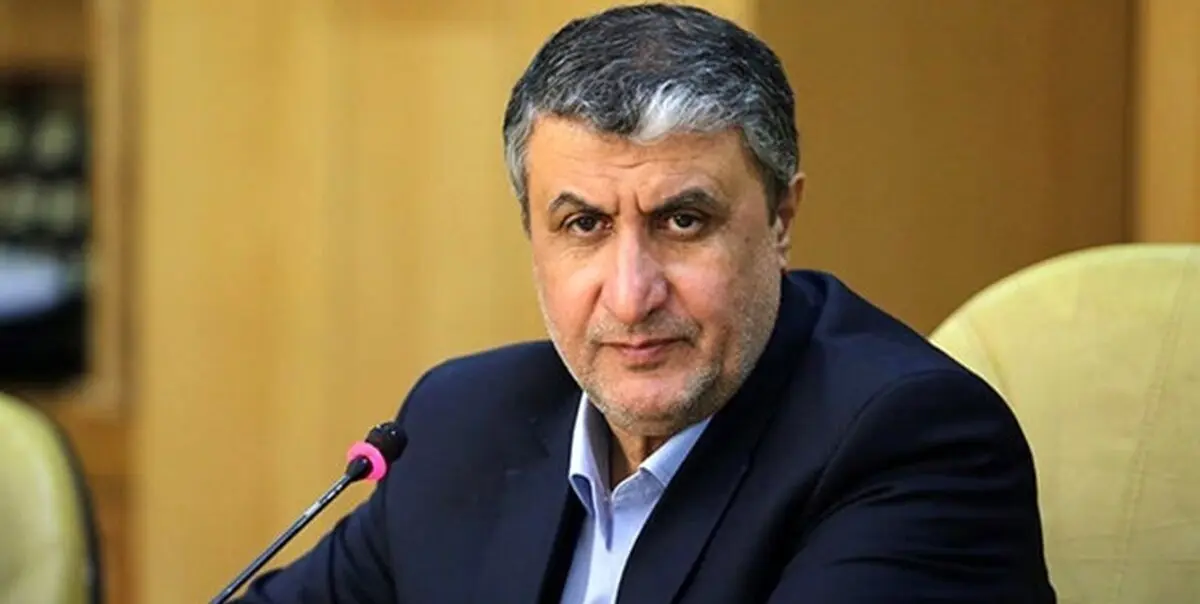 سلامی: آژانس اطلاعات هسته‌ای ایران را در اختیار دیگر کشورها میگذارد