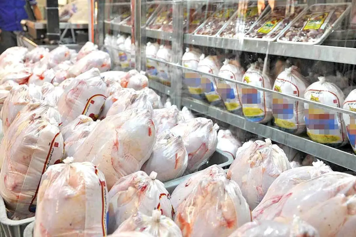 پشت پرده افزایش قیمت مرغ | چرا قیمت مرغ دوباره گران شد؟