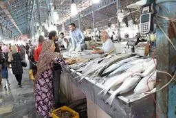 
قیمت انواع ماهی در مقایسه با قیمت‌ مرغ و گوشت در میادین اعلام شد
