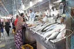 
قیمت انواع ماهی در مقایسه با قیمت‌ مرغ و گوشت در میادین اعلام شد
