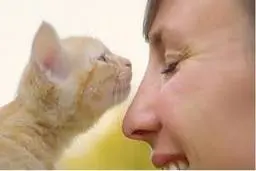 نقش مهم بوییدن در زندگی حیوانات | اگه بوی طبیعی ندن باهاشون جفت‌گیری نمی‌کنند!