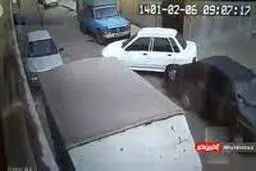 حمله وحشیانه ۴ سارق به یک پیرزن در قیامدشت+ویدئو