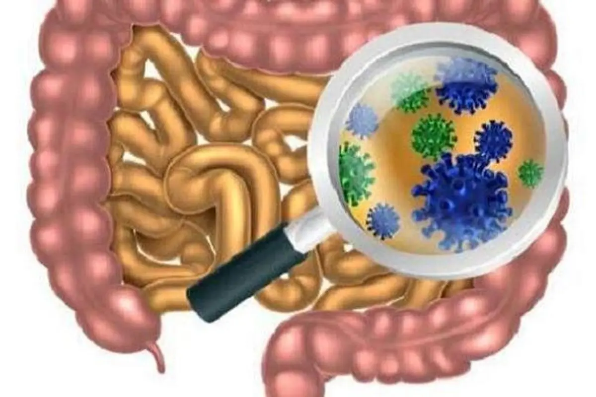 روده| باکتری های روده می توانند به تشخیص دیابت کمک کنند