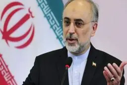 علی اکبر صالحی کاندیدای انتخابات ریاست جمهوری می شود
