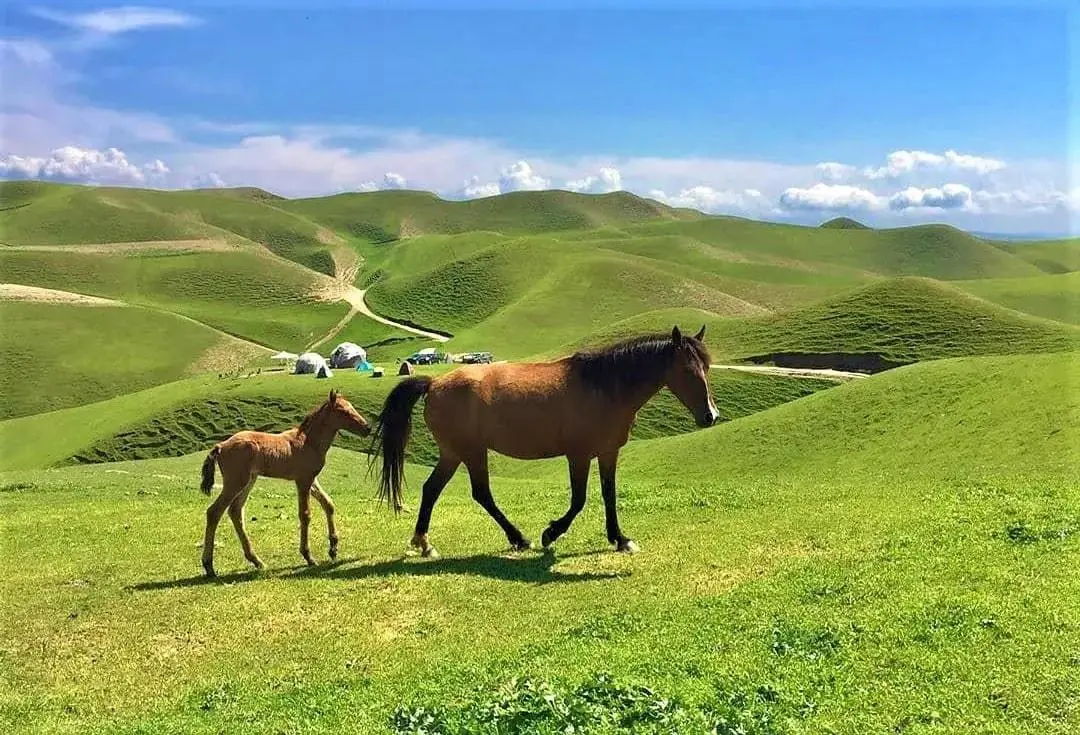 عید کجا بریم؟ | معرفی ۴۰ جای دیدنی سفر نوروز ۱۴۰۴