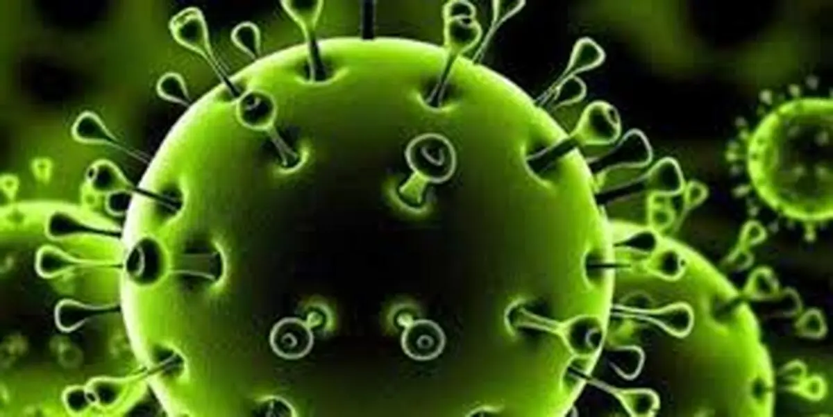 آیا شستشوی لباس با ماشین لباسشویی، ویروس کرونا را از بین می‌برد؟