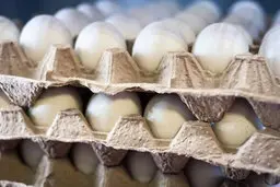 قیمت هر شانه تخم مرغ به ۴۵ هزار تومان رسید