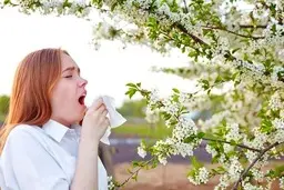 با مصرف این موادغذایی از آلرژی فصل بهار در امان بمانید! + اینفوگرافیک