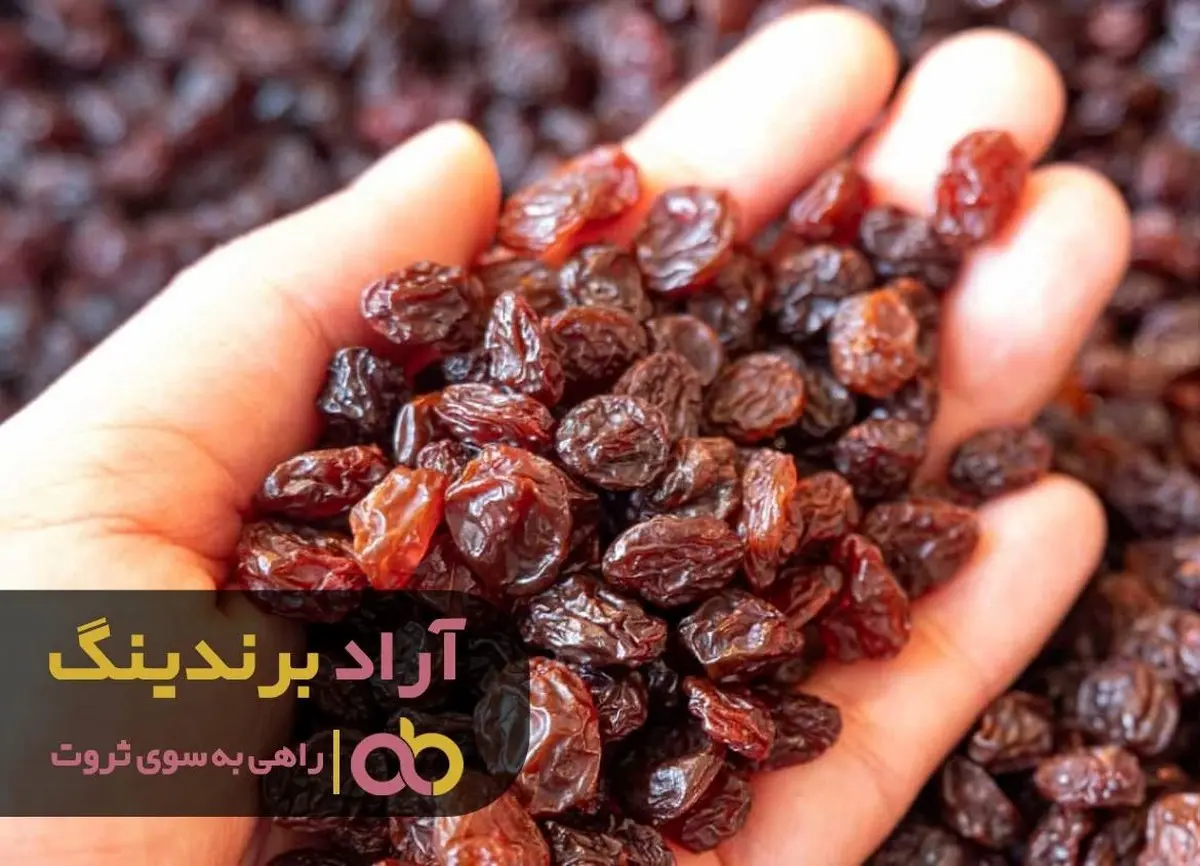 از روی موانع پریدم و ثروتمند شدم