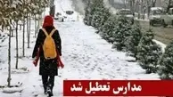  فرماندار فیروزکوه از تعطیلی همه مقاطع تحصیلی این شهرستان برای فردا خبر داد.