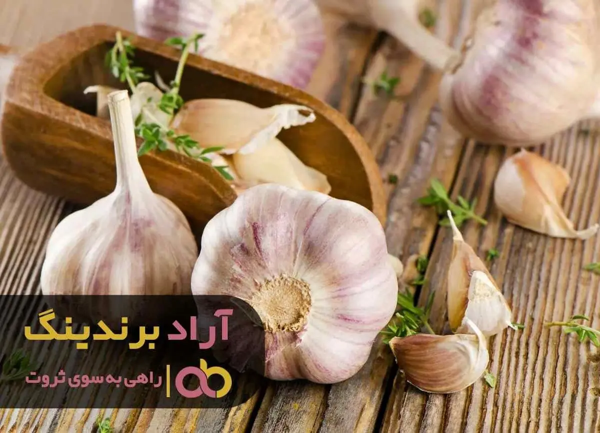 هدفی که باعث شد من به فردی ثروتمند تبدیل بشوم