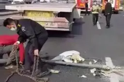 راز سقوط ۵تیر چراغ برق در بزرگراه آزادگان فاش شد