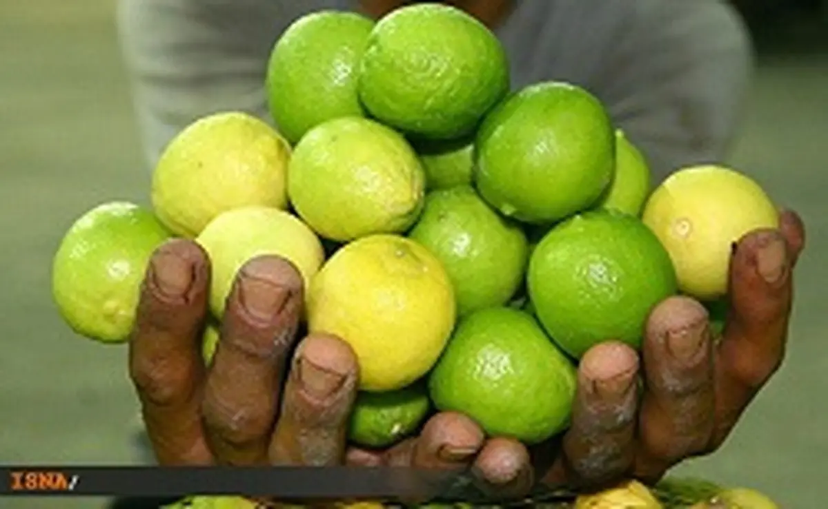 بازار لیموترش و لیموشیرین آرام می‌گیرد؟ 