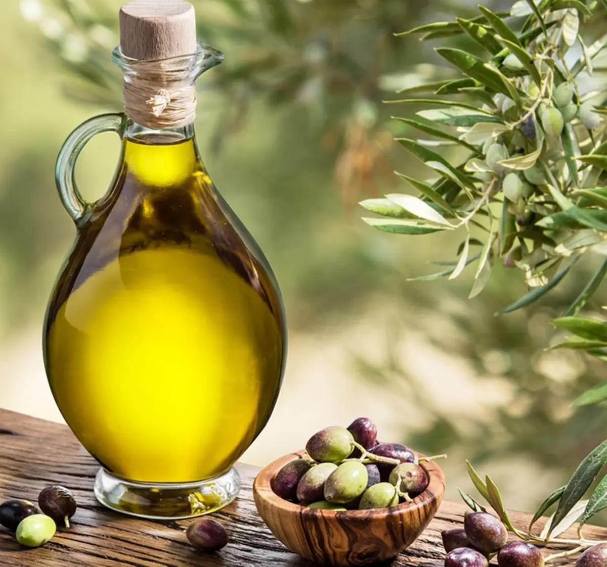  روغن زیتون گران شد 

