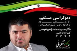 ‌نمایندگی مجلس برای راه‌اندازی استارتاپ سیاسی